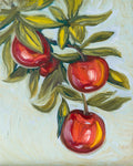 "Apple Branch Study"