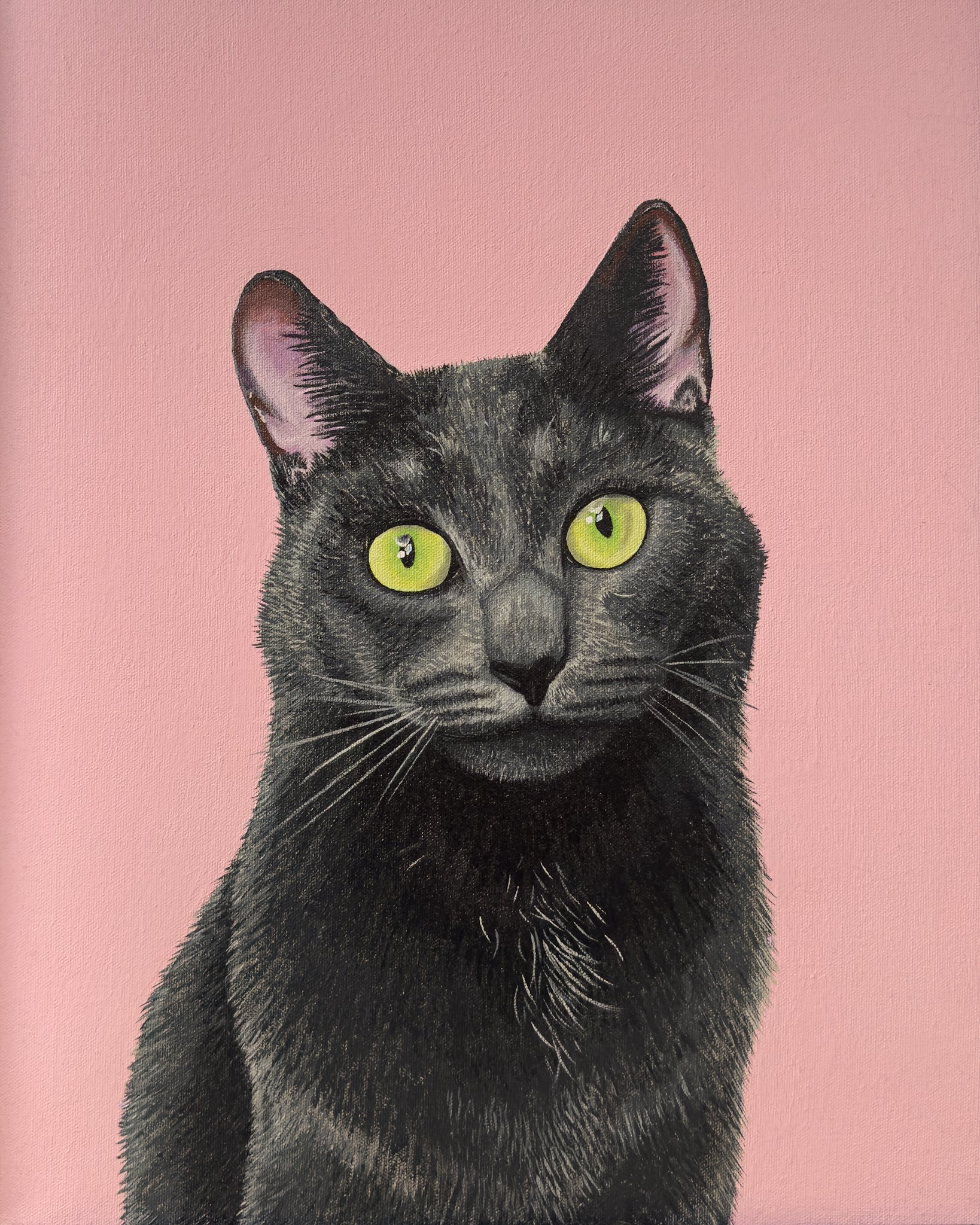 "Duchess in Pink"