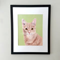 A framed custom pet portrait featuring a detailed drawing of an orange tabby cat on a light green background, enclosed in a white mat and a black frame, mounted on a light gray wall.